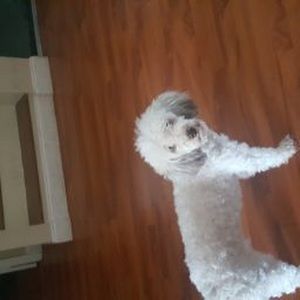 Meet your Posher, Angie